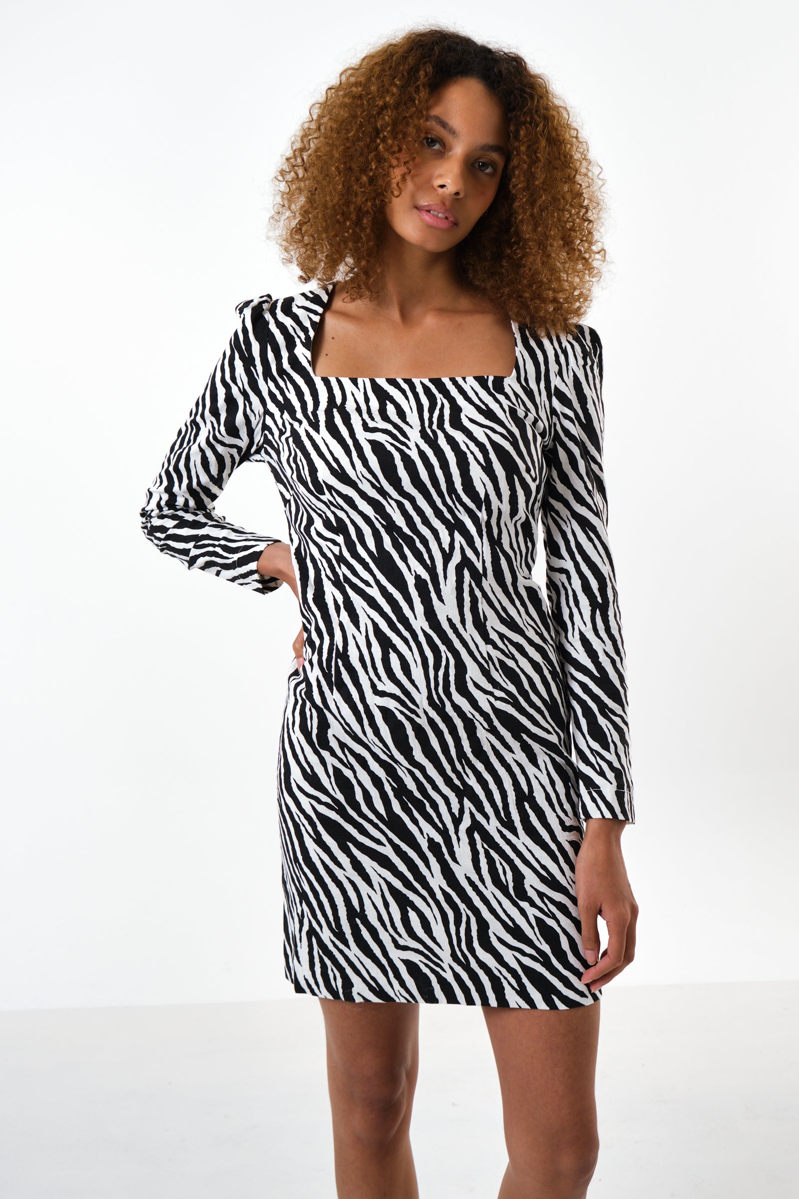 Anala Zebra Print Square Neck Long Sleeve Mini Dress