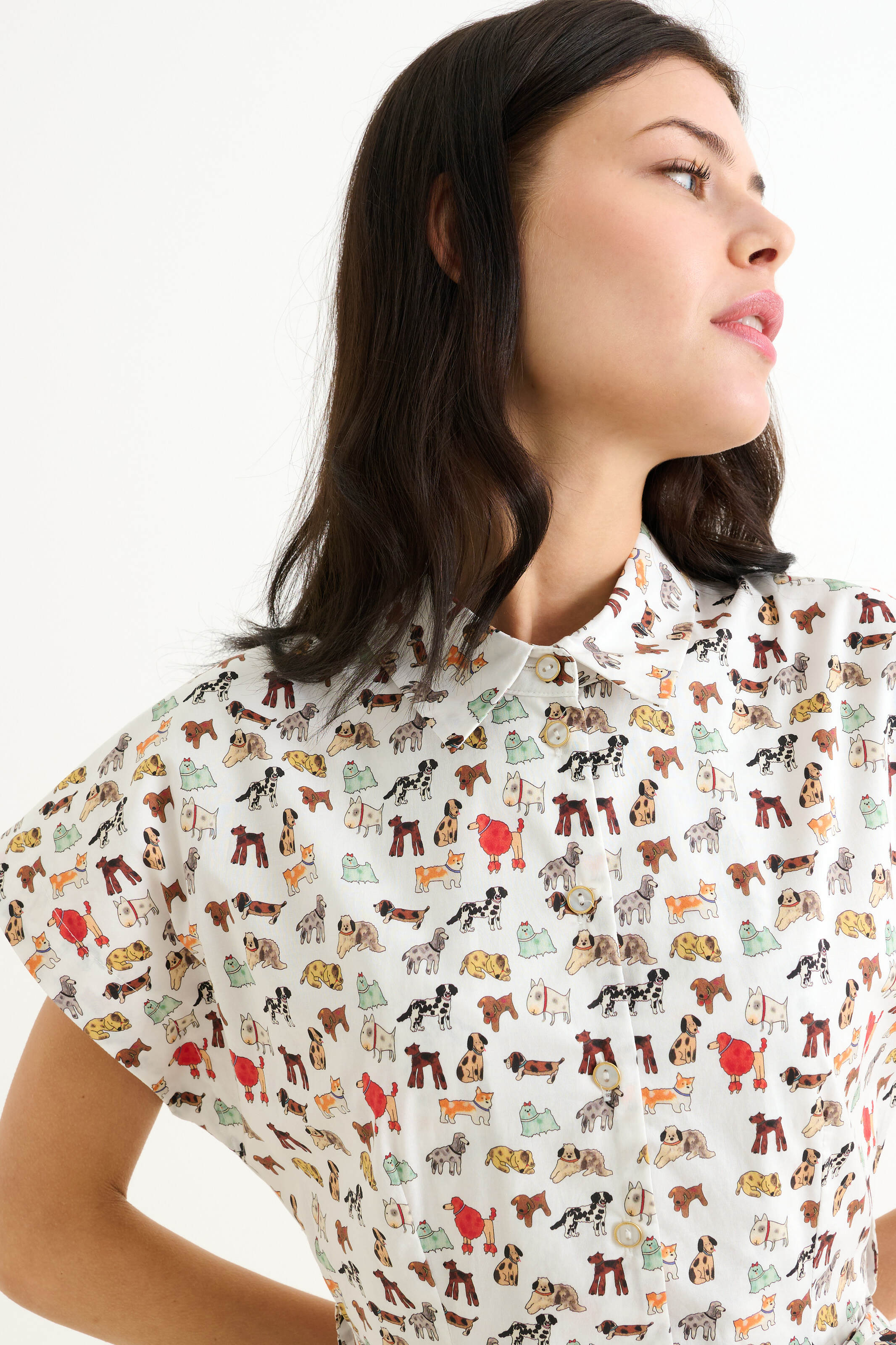 Danica Dogs Day Short Sleeved Shirtdress - Multicolour - Detail 1