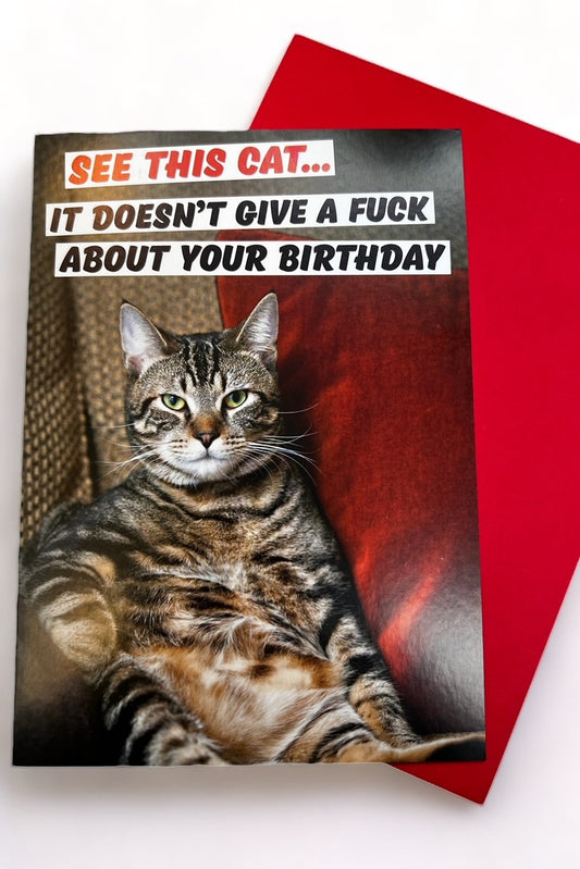 See This Cat Birthday Card