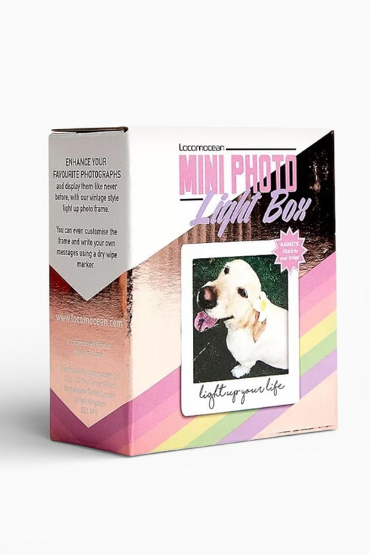 Rose Gold Mini Photo Light Box