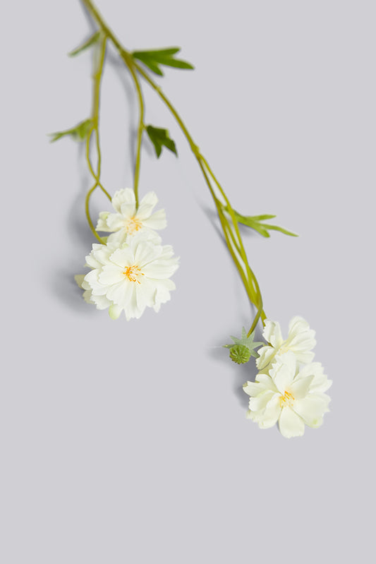 Cream Daisy Faux Flowers