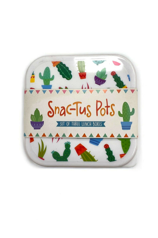 Set of 3 Cactus Printed Lunch Boxes