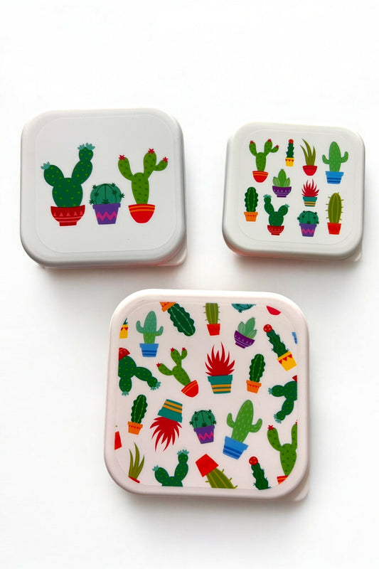 Set of 3 Cactus Printed Lunch Boxes