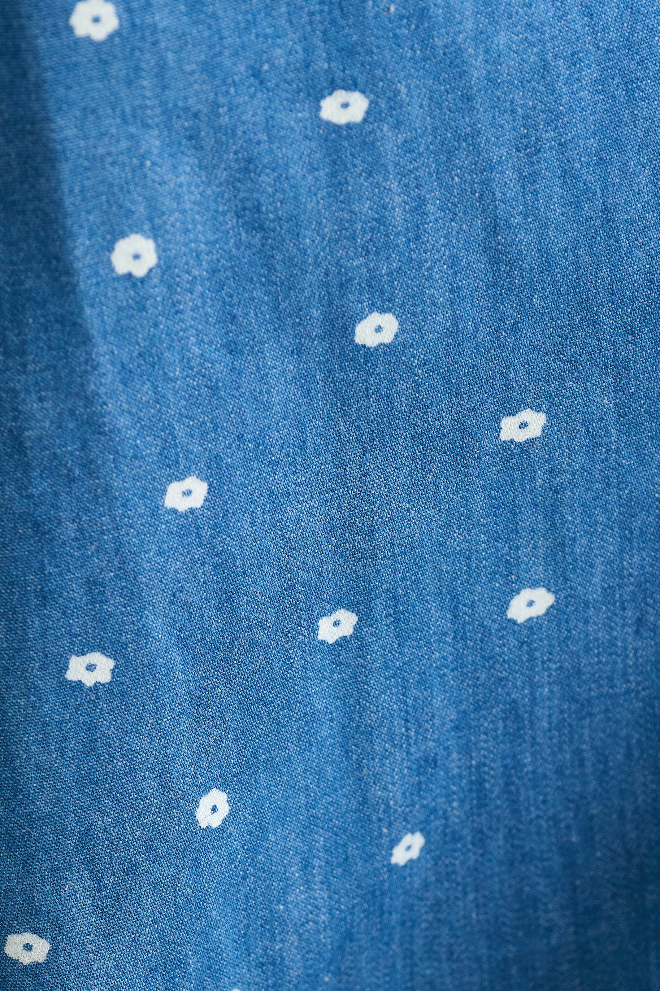 Pasadena Flower Dot Blue Midaxi Skirt