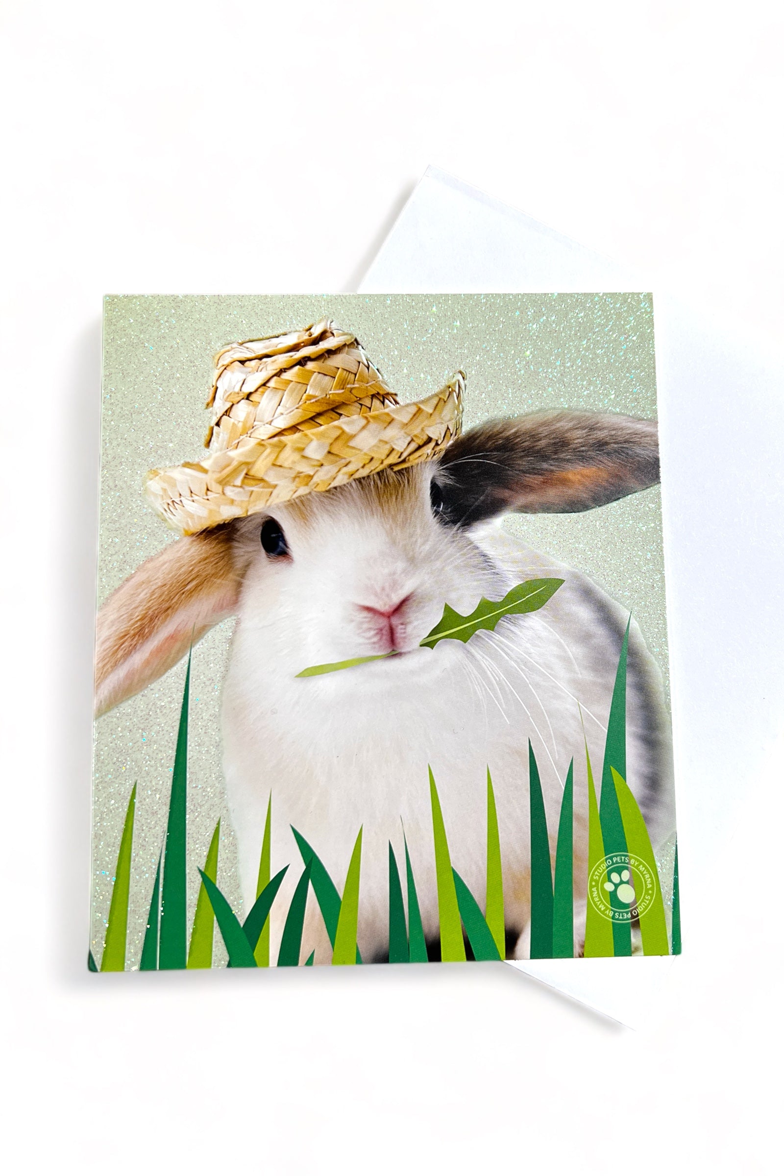 Easter Bunny Card