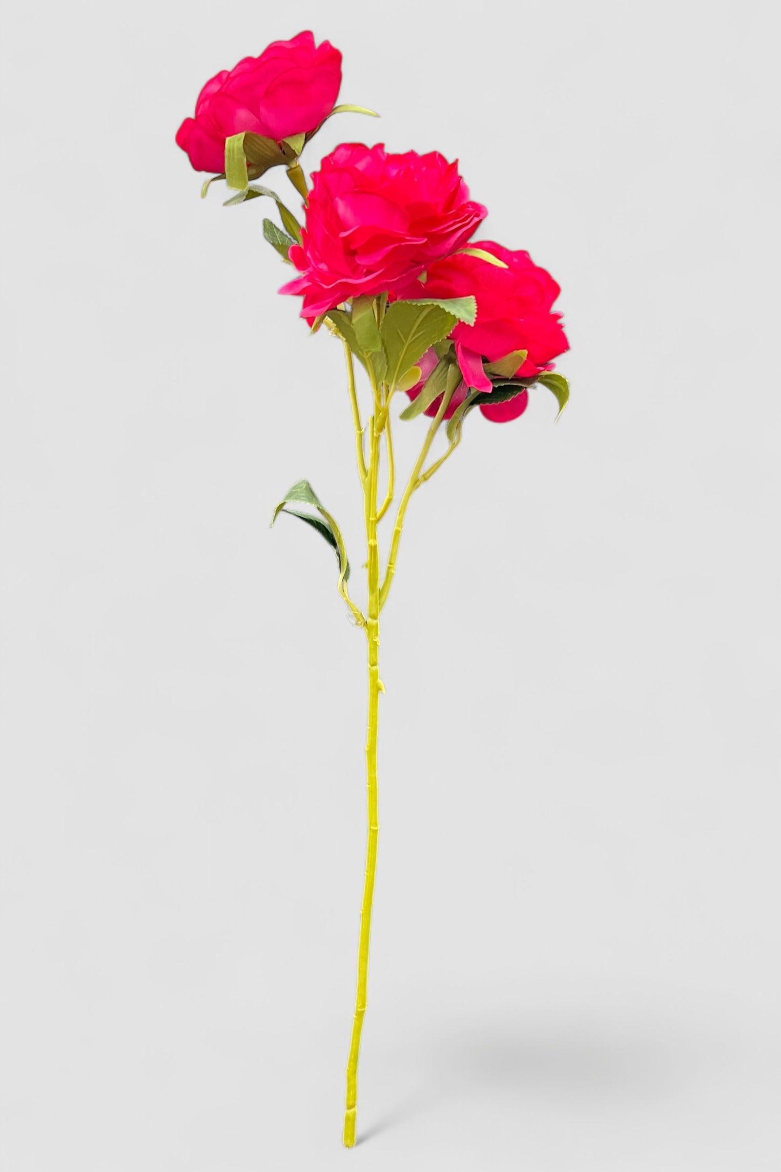 3 Head Carmine Red Rose Stem