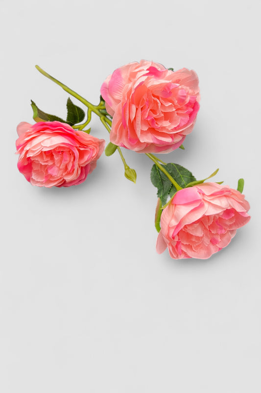 Variegated Pink 3 Head Rose Stem