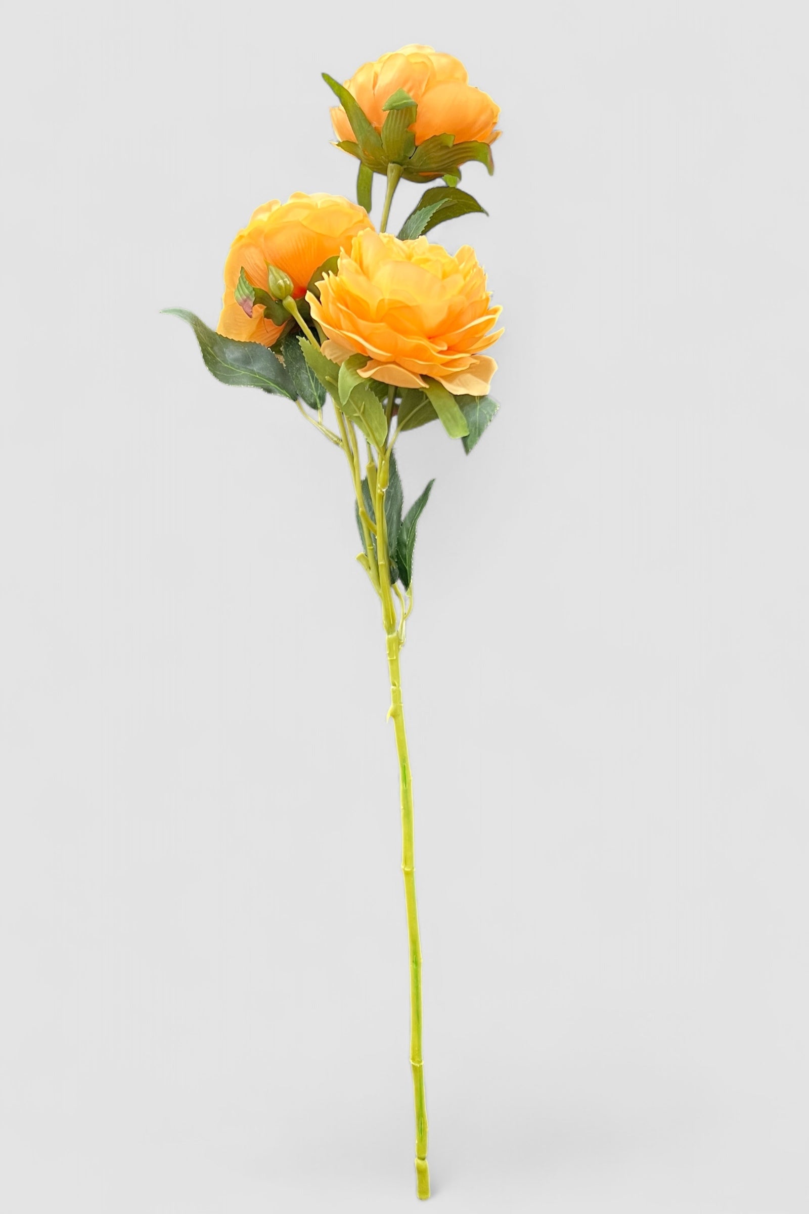 Pale Orange 3 Head Rose Stem