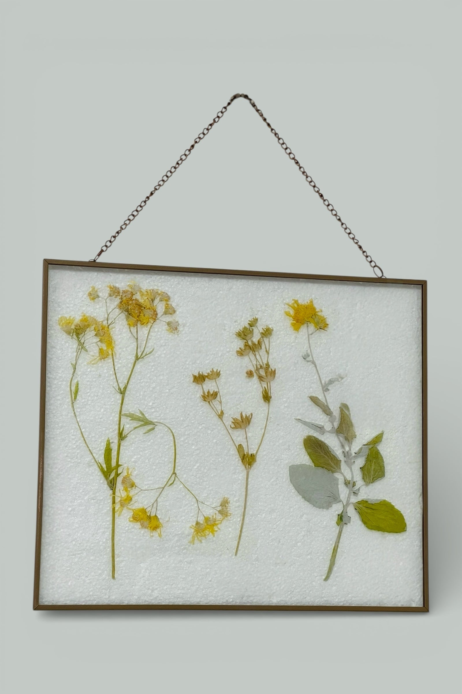 Pressed Flower Illustrated Glass Wall Plaque