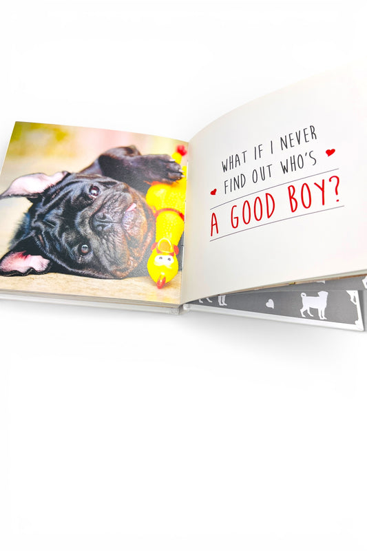 Love Is A Pug Book