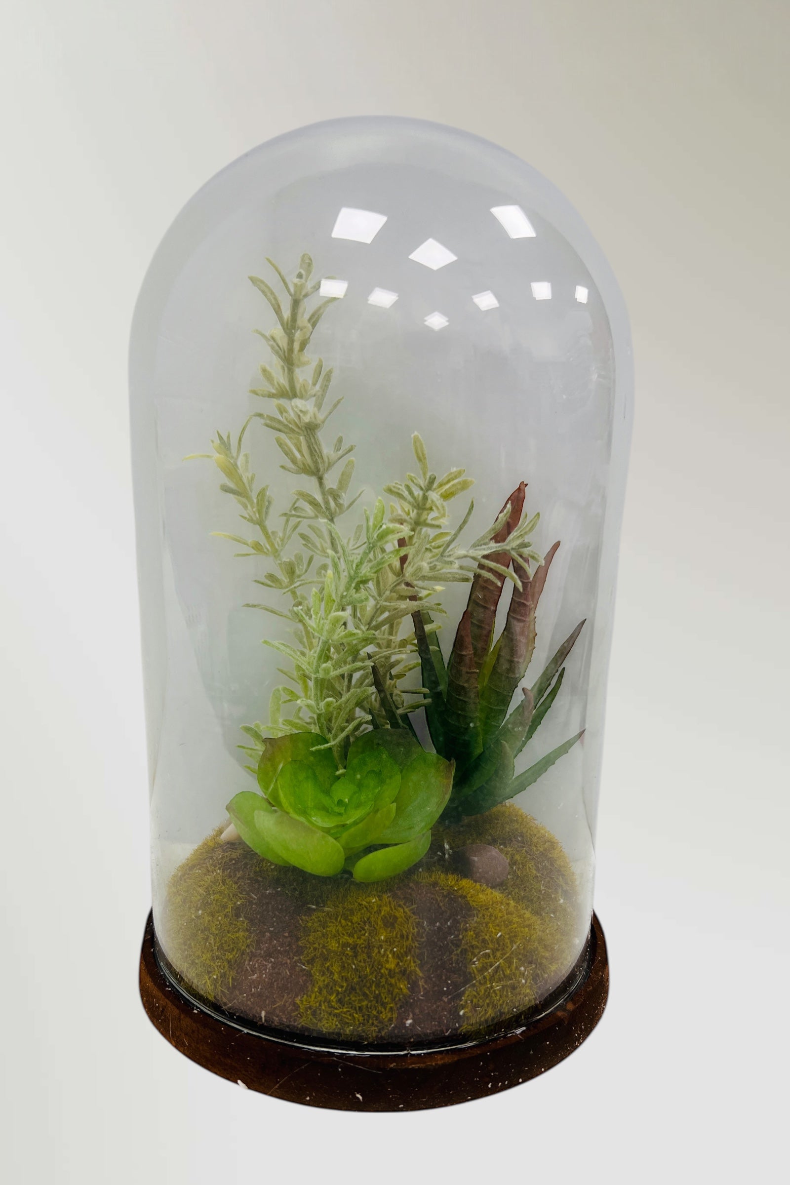 Glass Dome With Faux Succulents