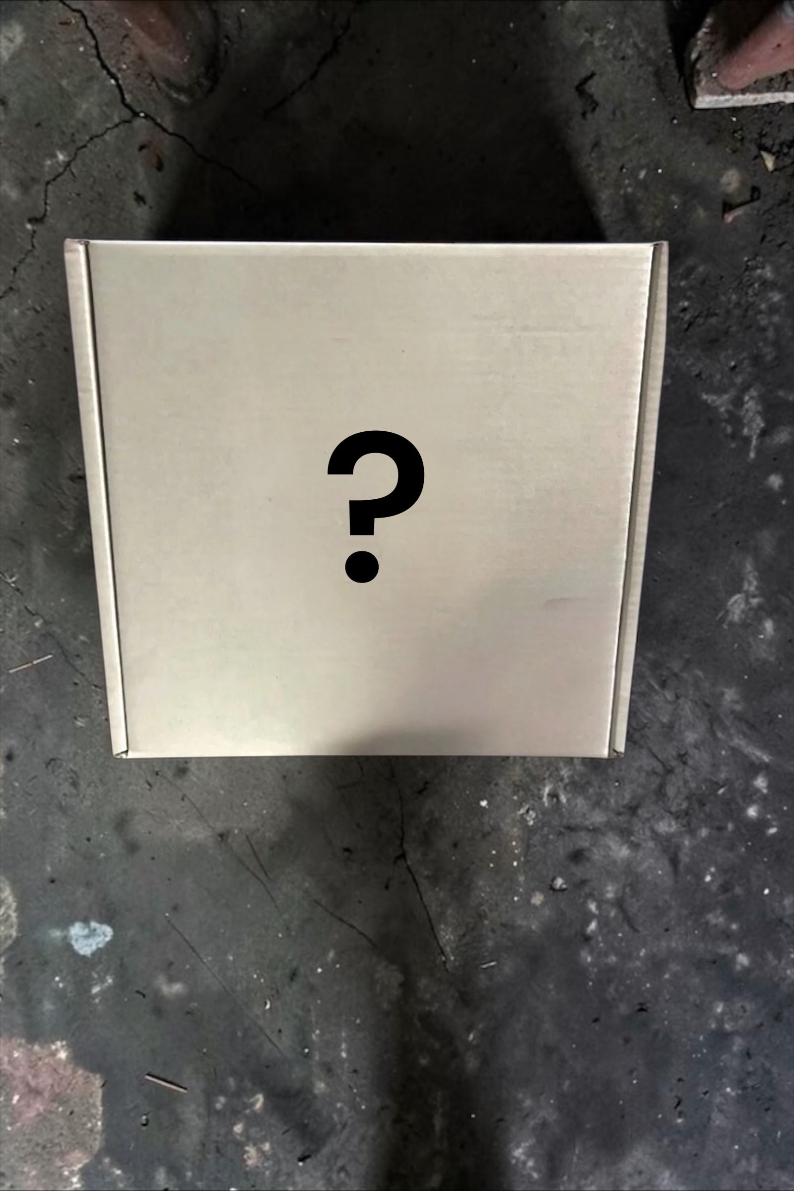 Mystery Box Mens Small