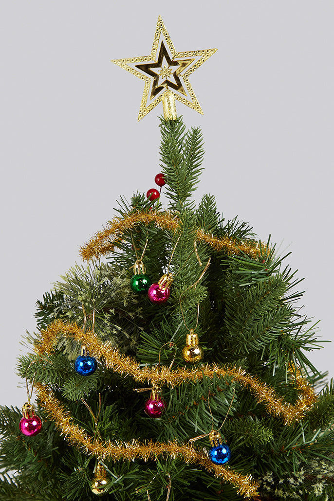 Festive Plant Baubles