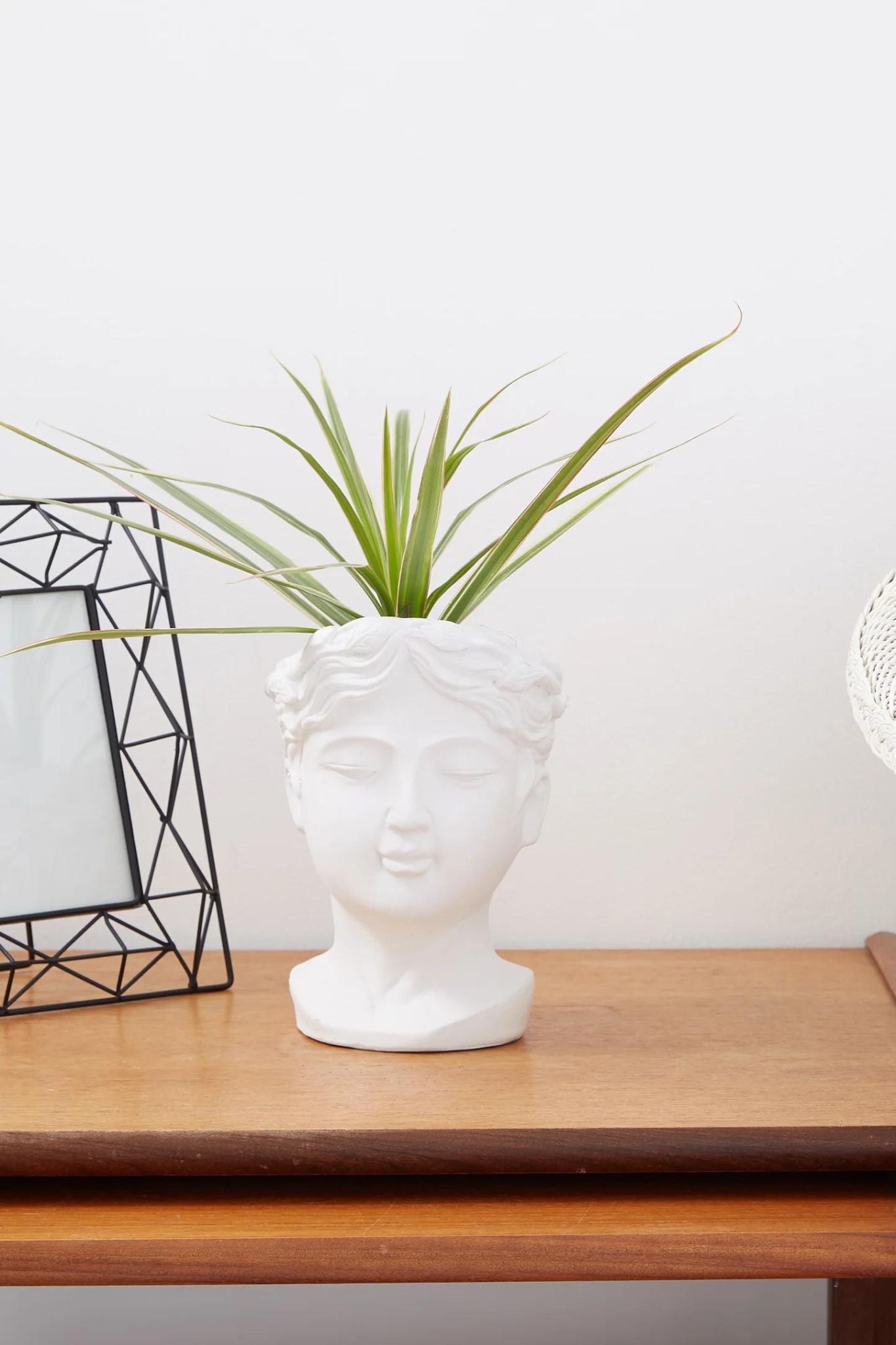 Medium Venus Head Planter In White - Front