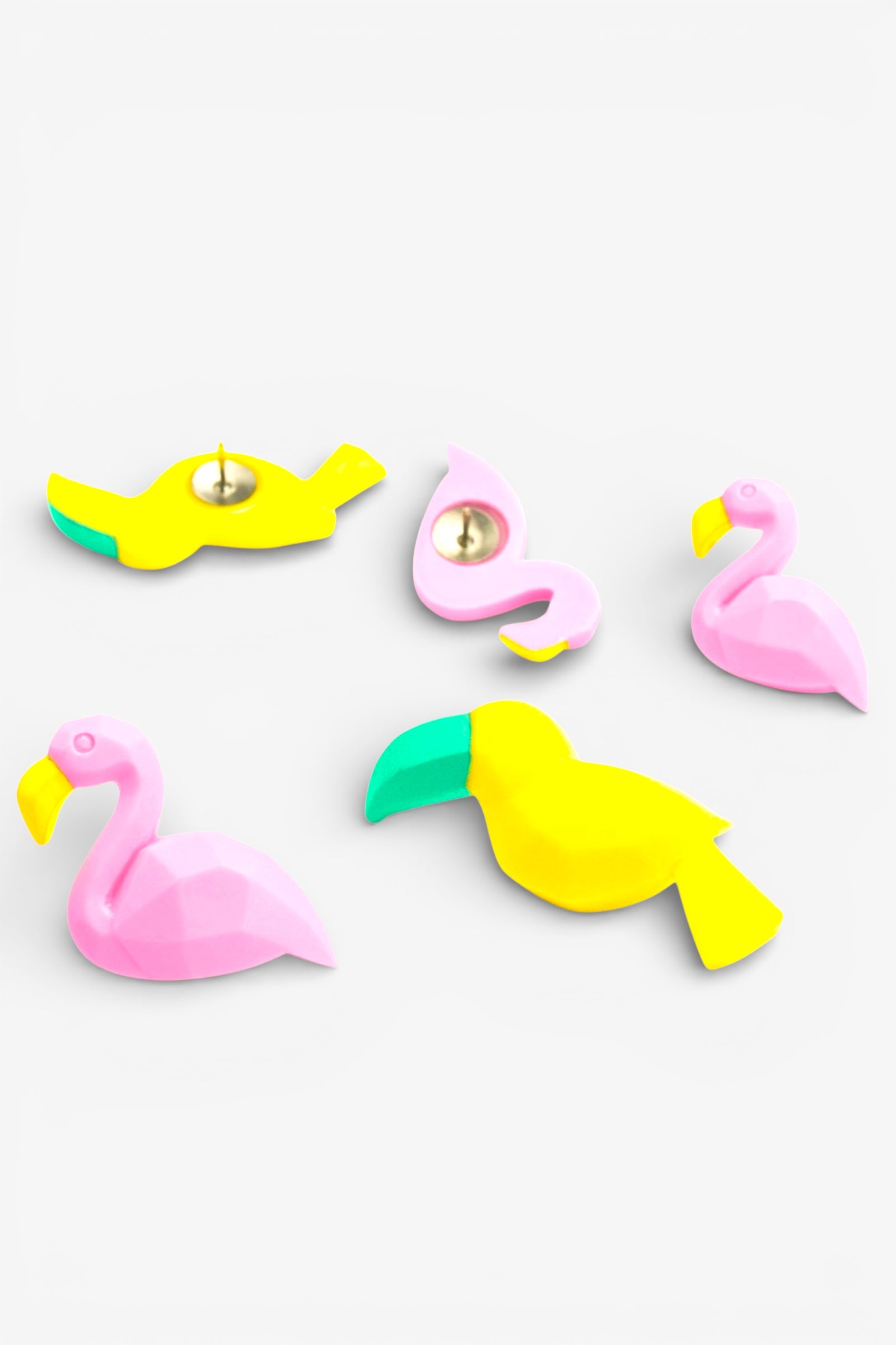 Set of 5 Flamingo And Toucan Push Pins