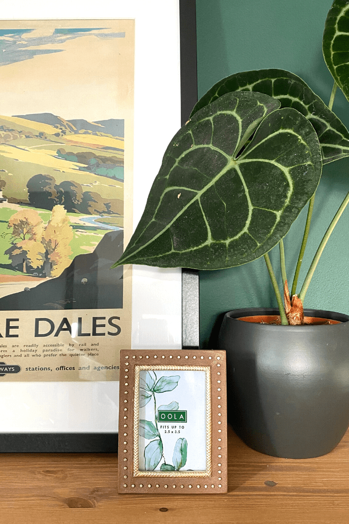 Studded Single Photo Frame - Front