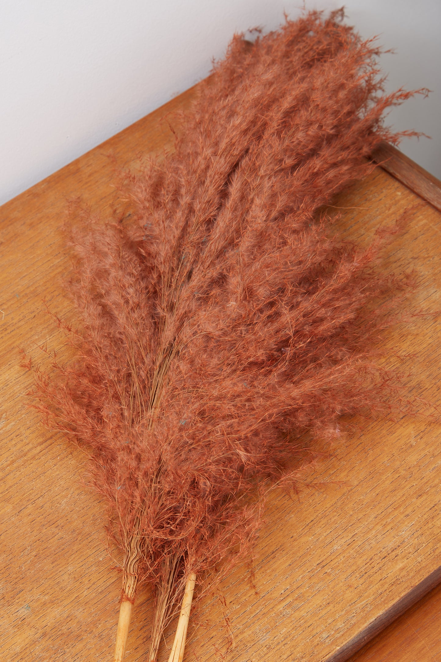 3 Stems of Ginger Pampas Grass