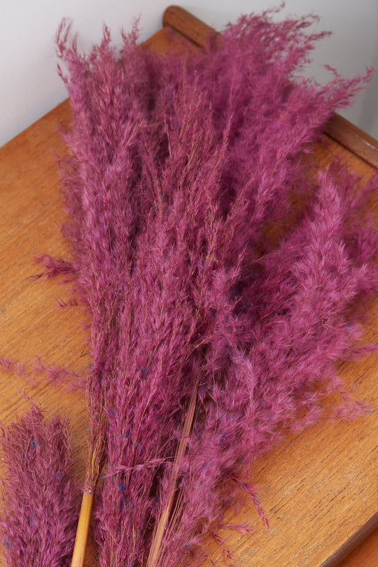 3 Stems of Wine Dried Pampas Grass