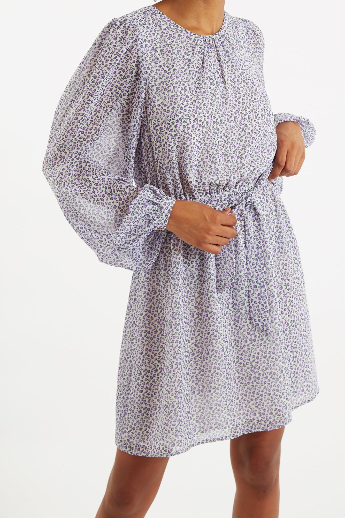 Belynda Rosetta Print Long Sleeve Mini Dress