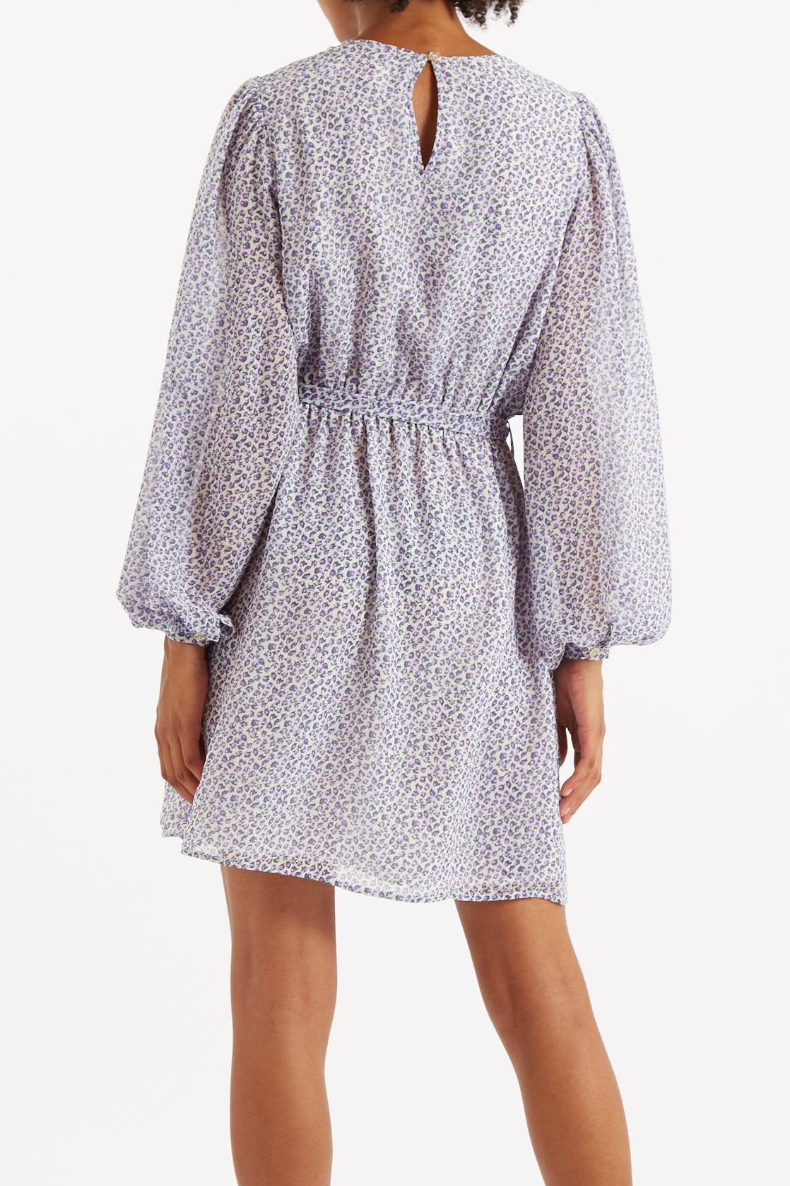 Belynda Rosetta Print Long Sleeve Mini Dress - Back
