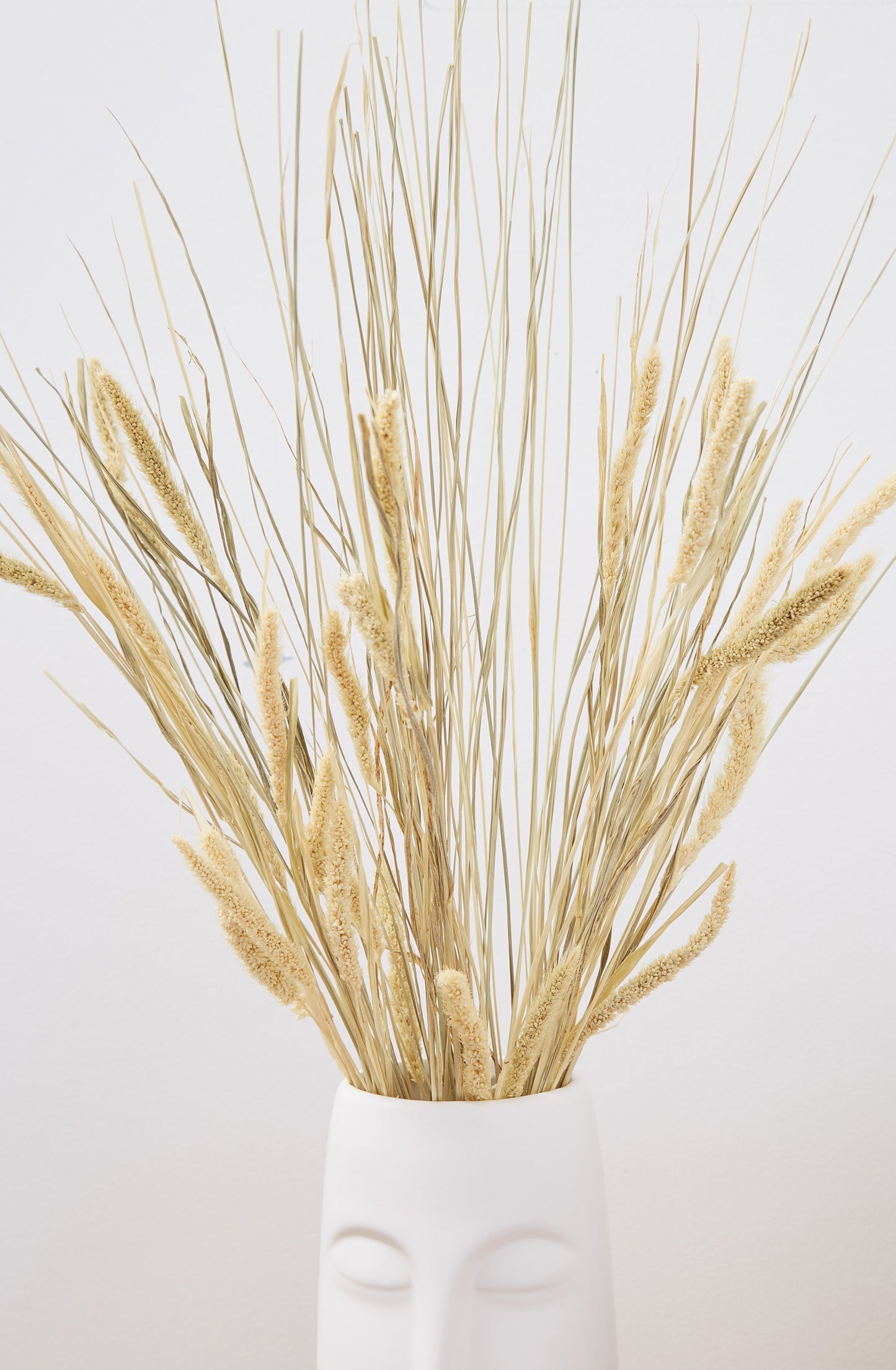 Dried Cats Tail Grass