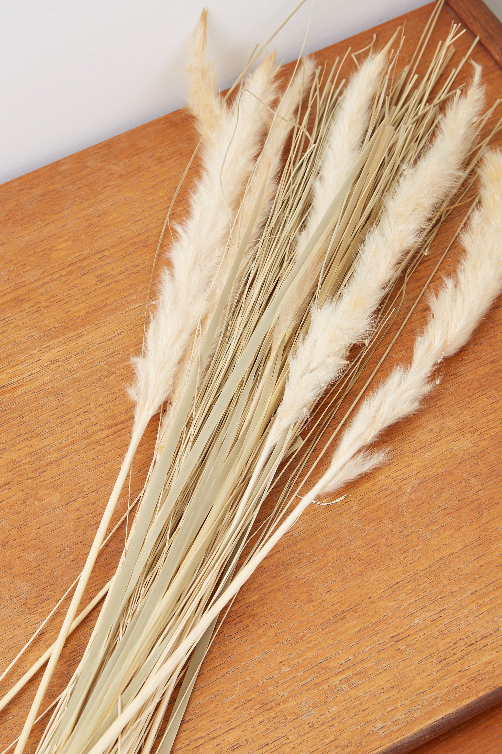 Dried Satin Tail Grass - Styled