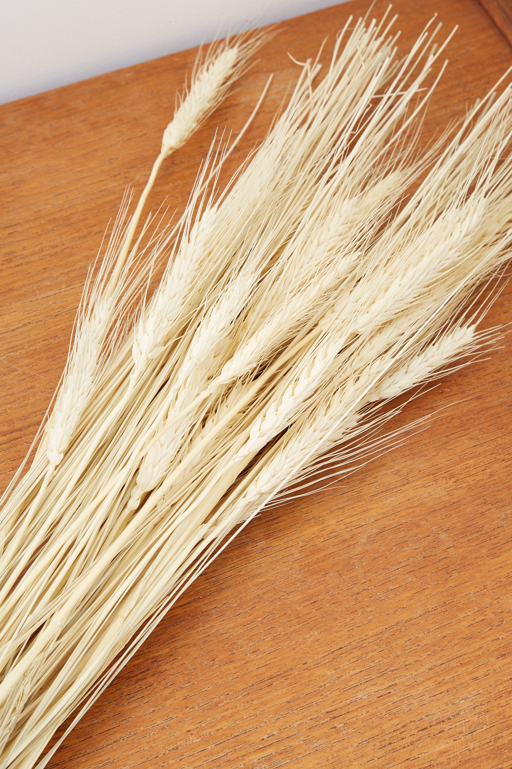 Dried Wheat Grass - Styled
