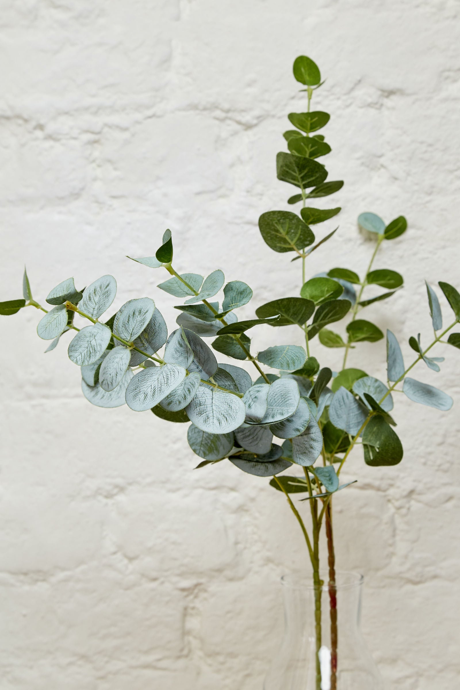 Eucalyptus Spray - Styled
