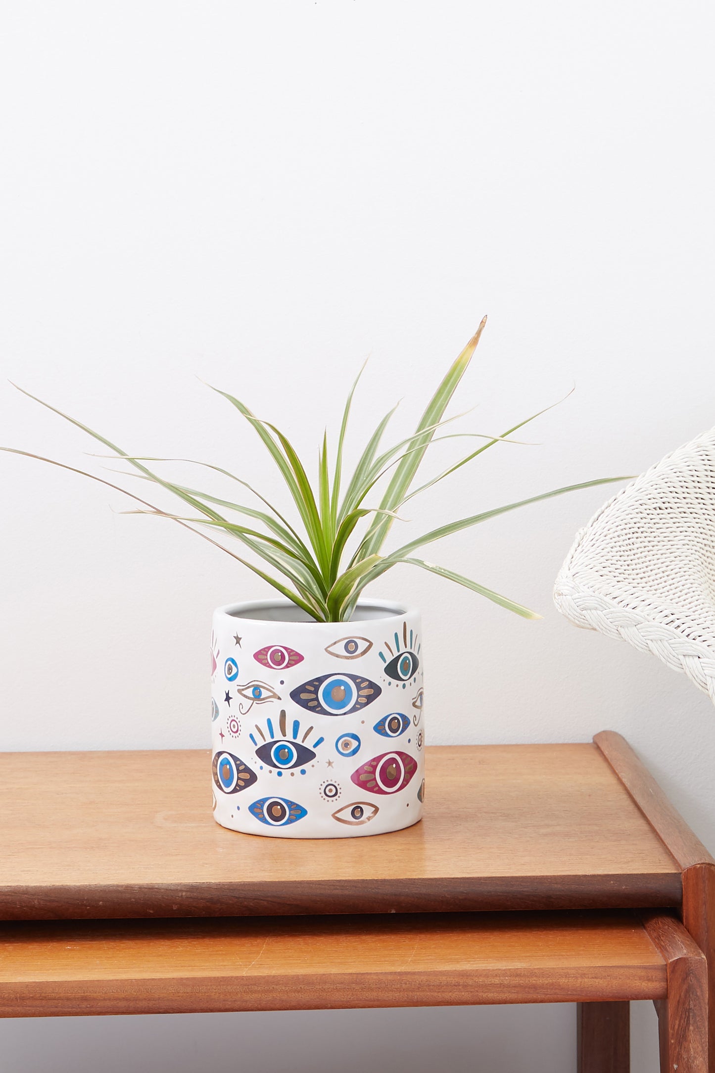 Eye Design Planter