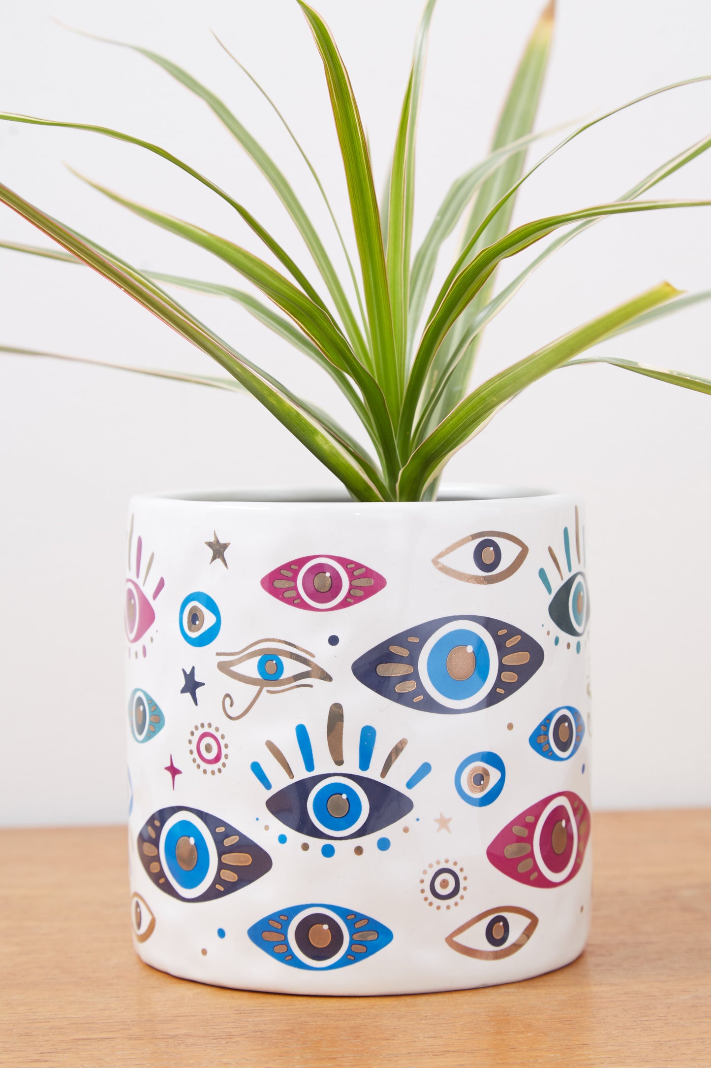 Eye Design Planter