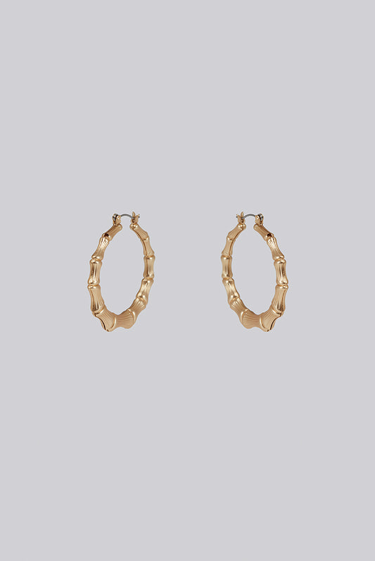 Louche Gedor Matt Gold Bamboo Hoop Earrings - Gold