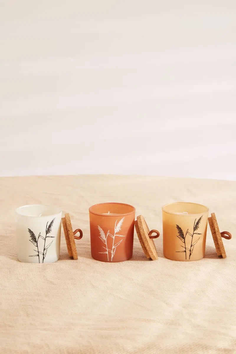 Set Of 3 Pampas Grass Candles
