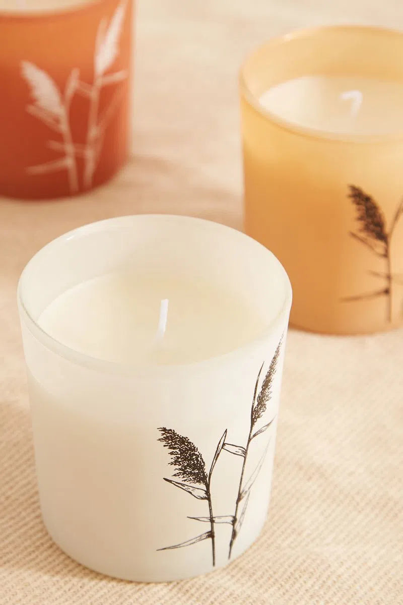 Set Of 3 Pampas Grass Candles - Styled