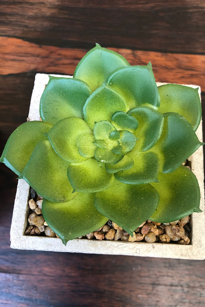 Set Of 3 Faux Potted Succulents - Detail 1