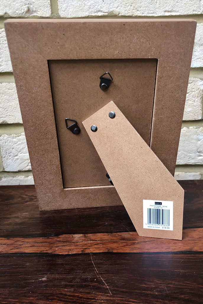 Resin Bone Design Photo Frame - Styled