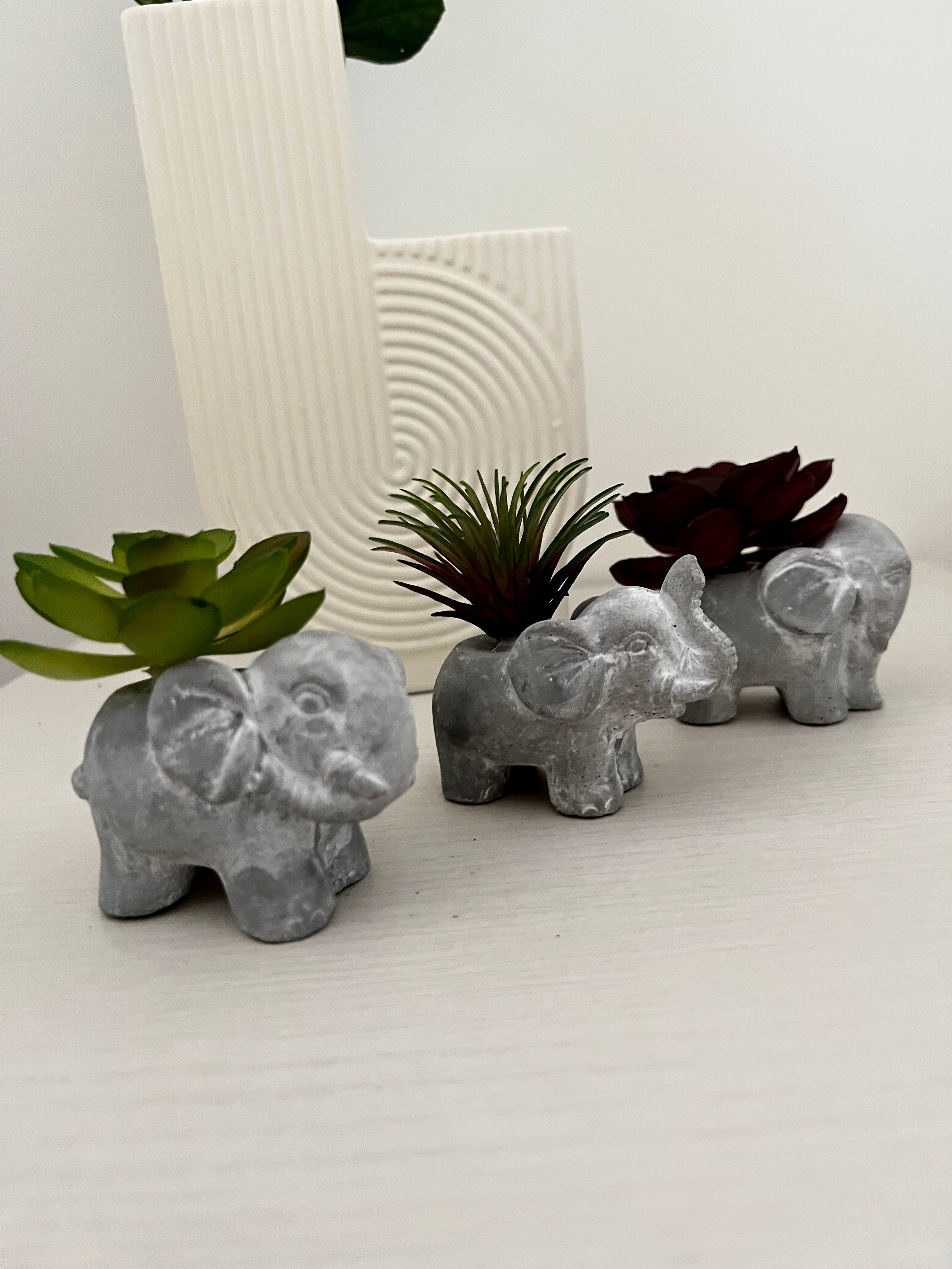 3 Faux Succulents in Elephant Pots - Styled