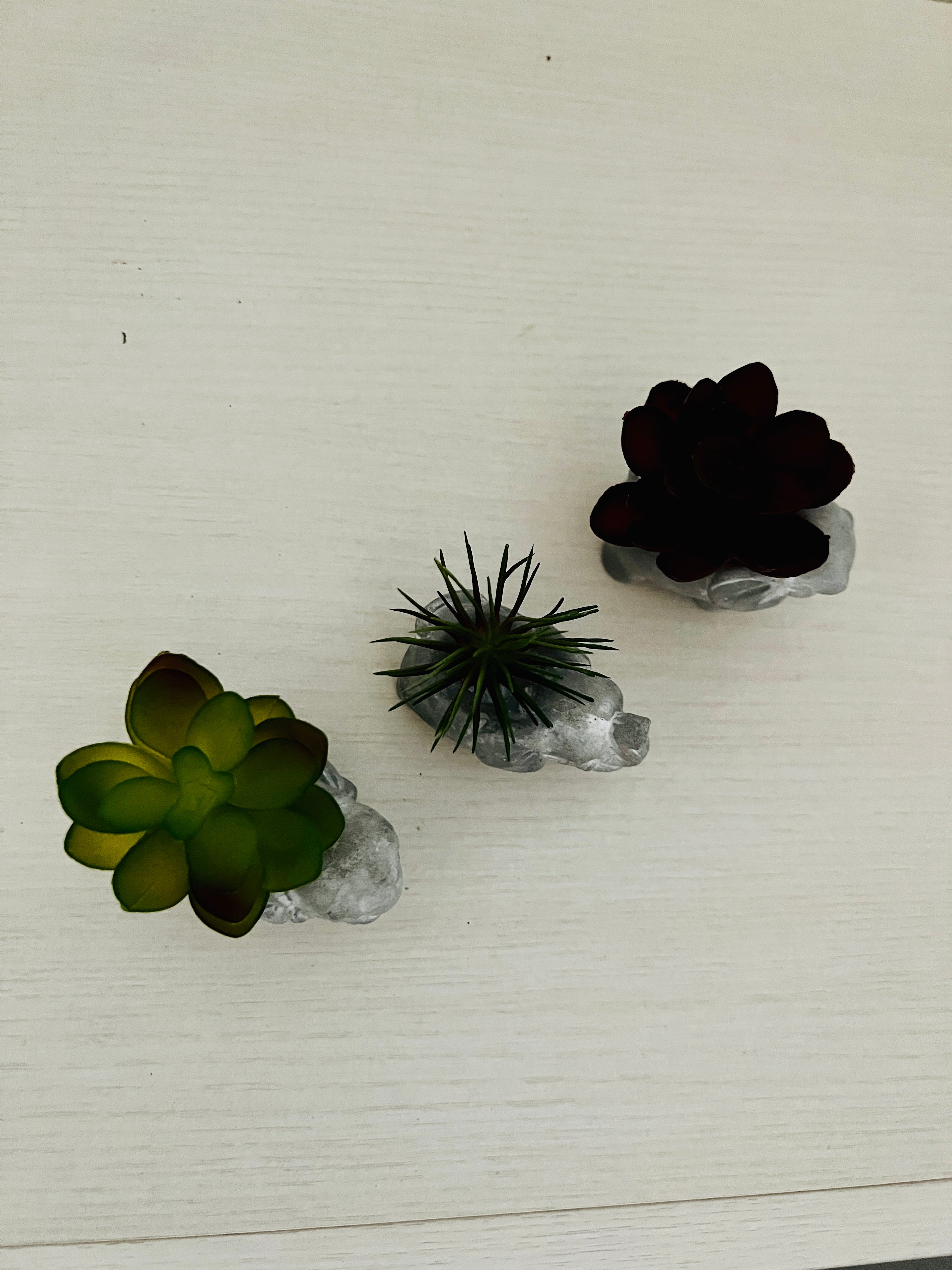 3 Faux Succulents in Elephant Pots - Detail 2