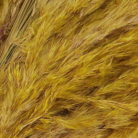 3 Stems of Khaki Dried Pampas Grass - Fabric & Print Detail