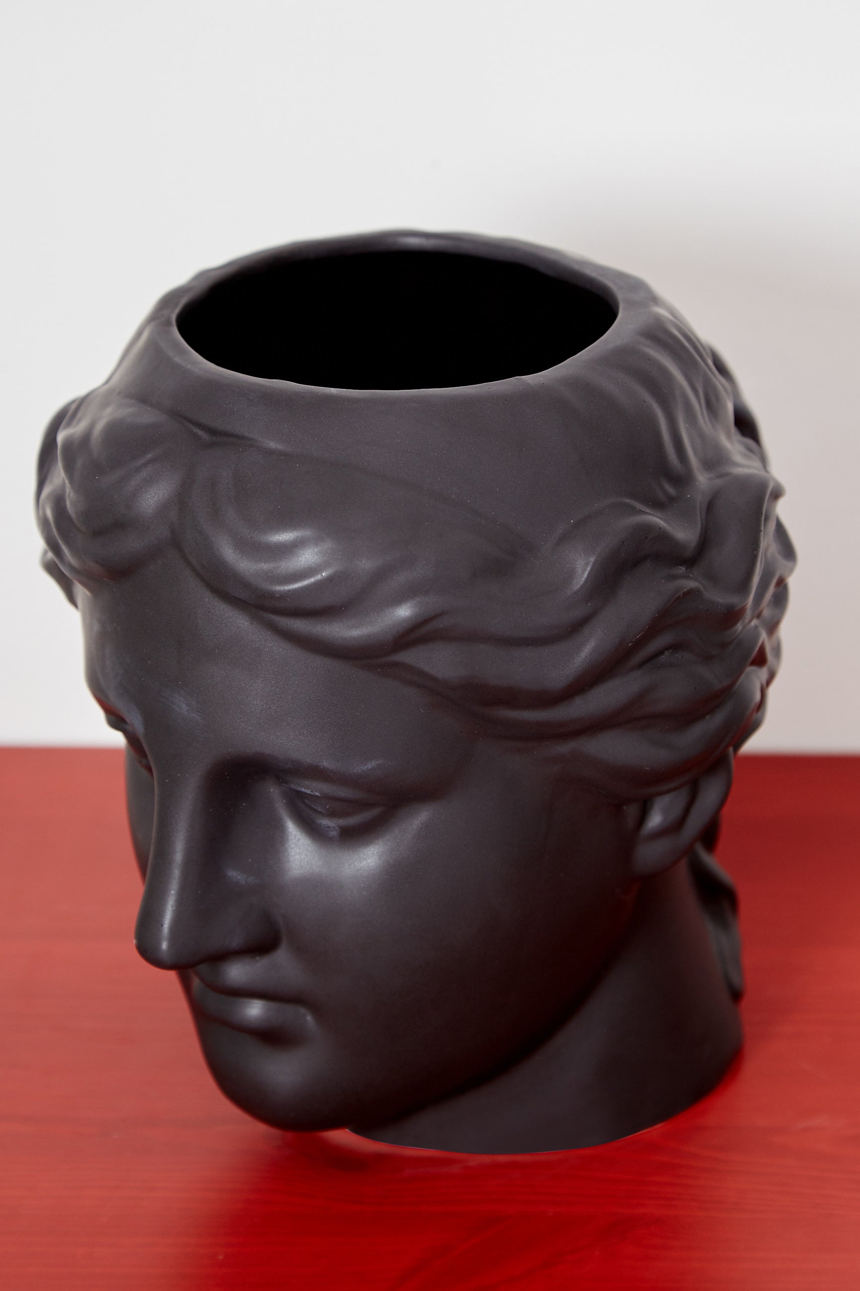 Large Venus Head Planter Black - Detail 3
