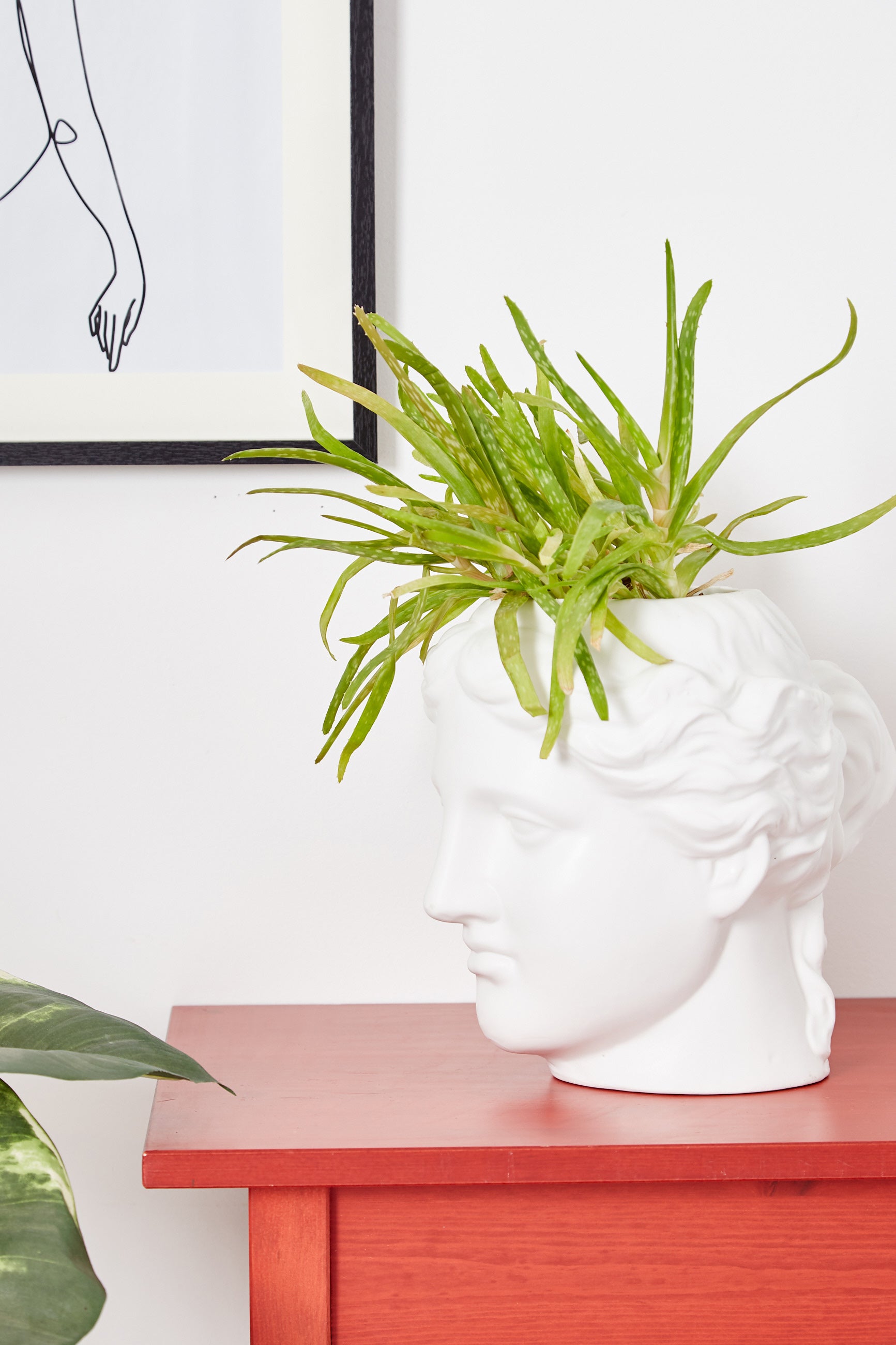 Large Venus Head Planter White - Detail 1