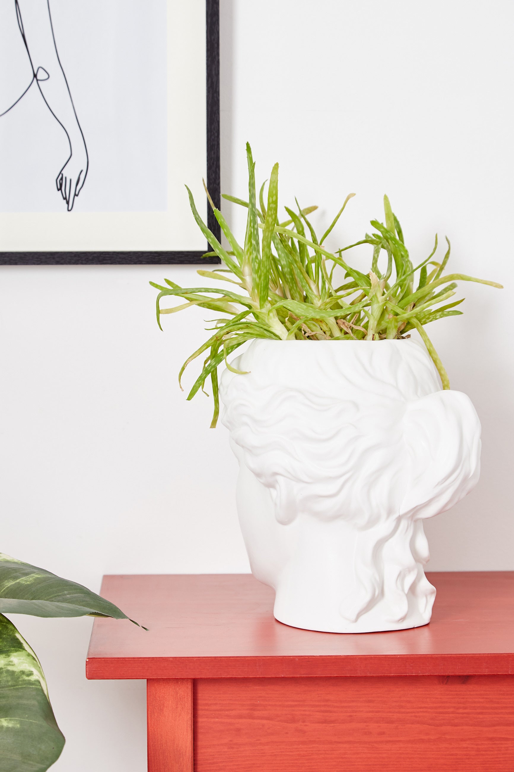 Large Venus Head Planter White - Detail 2