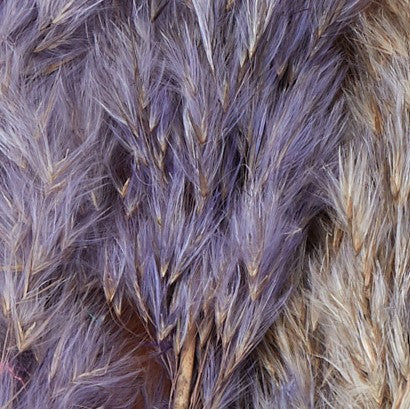 3 Stems of Lavender Pampas Grass - Fabric & Print Detail