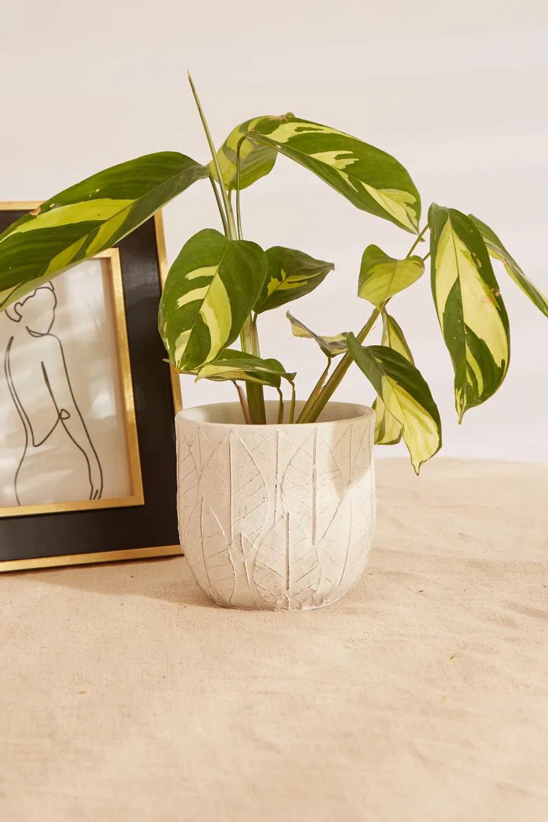 White Embossed Leaf Planter - Front