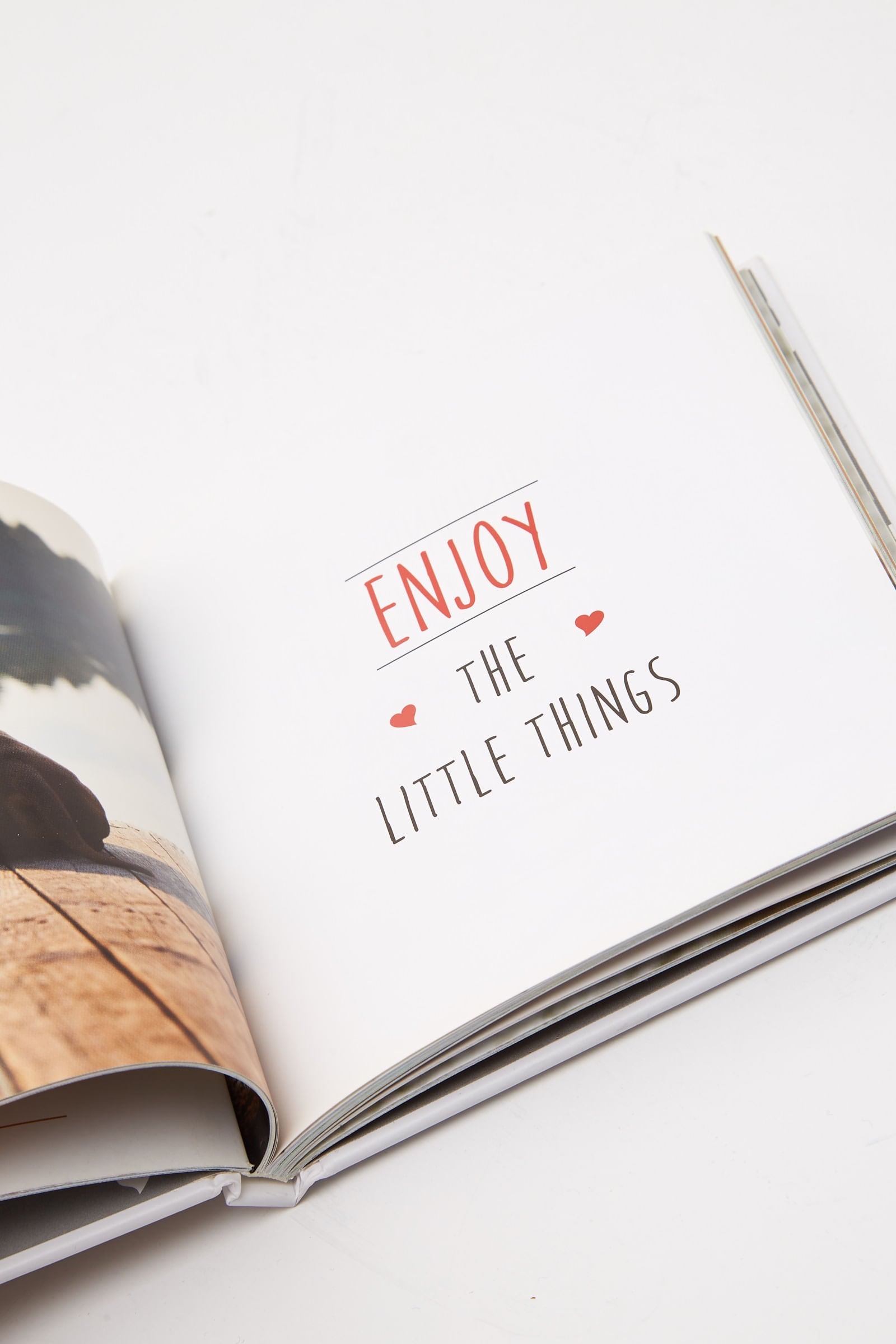 Love Is A Sausage Dog