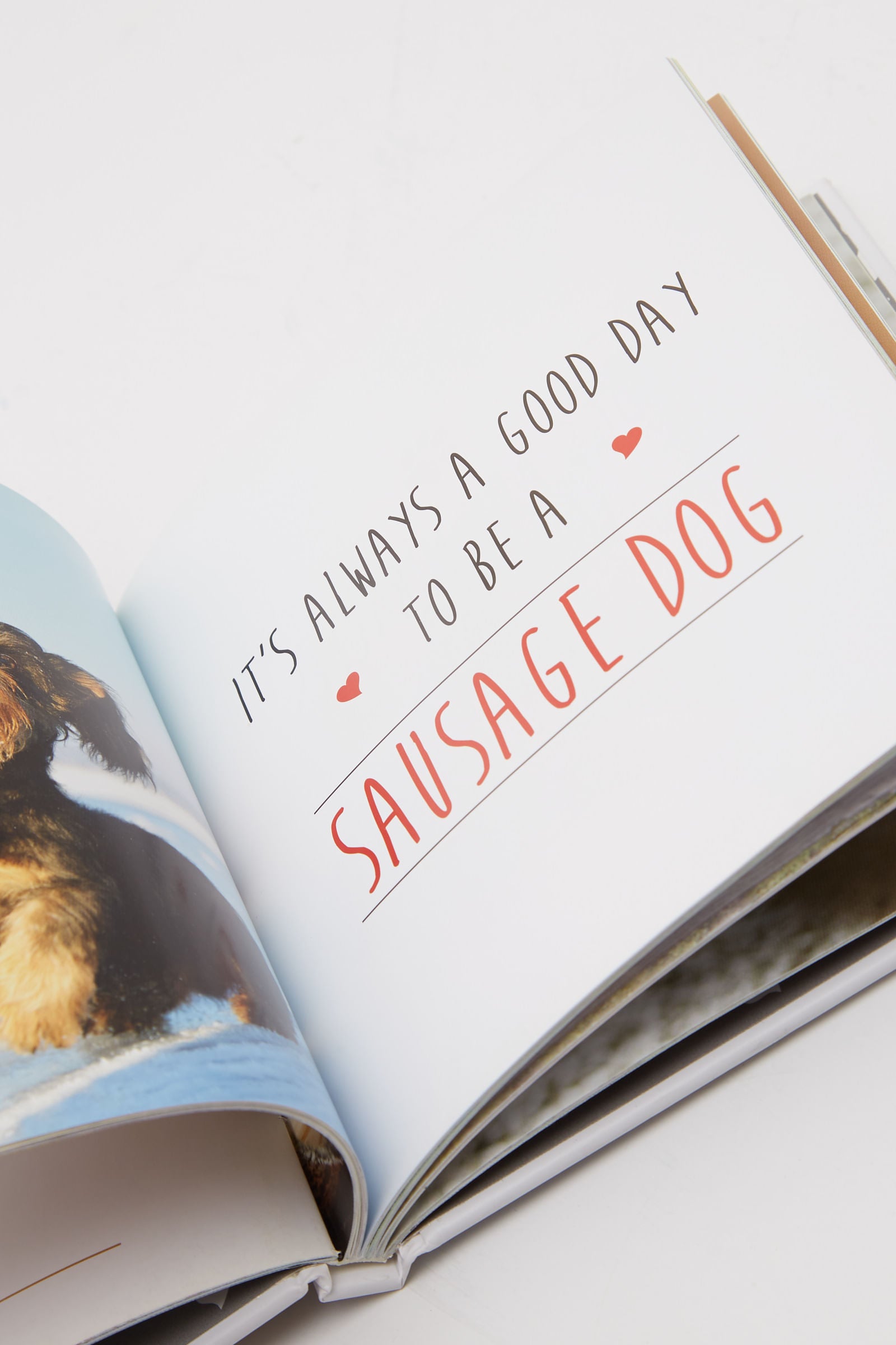 Love Is A Sausage Dog