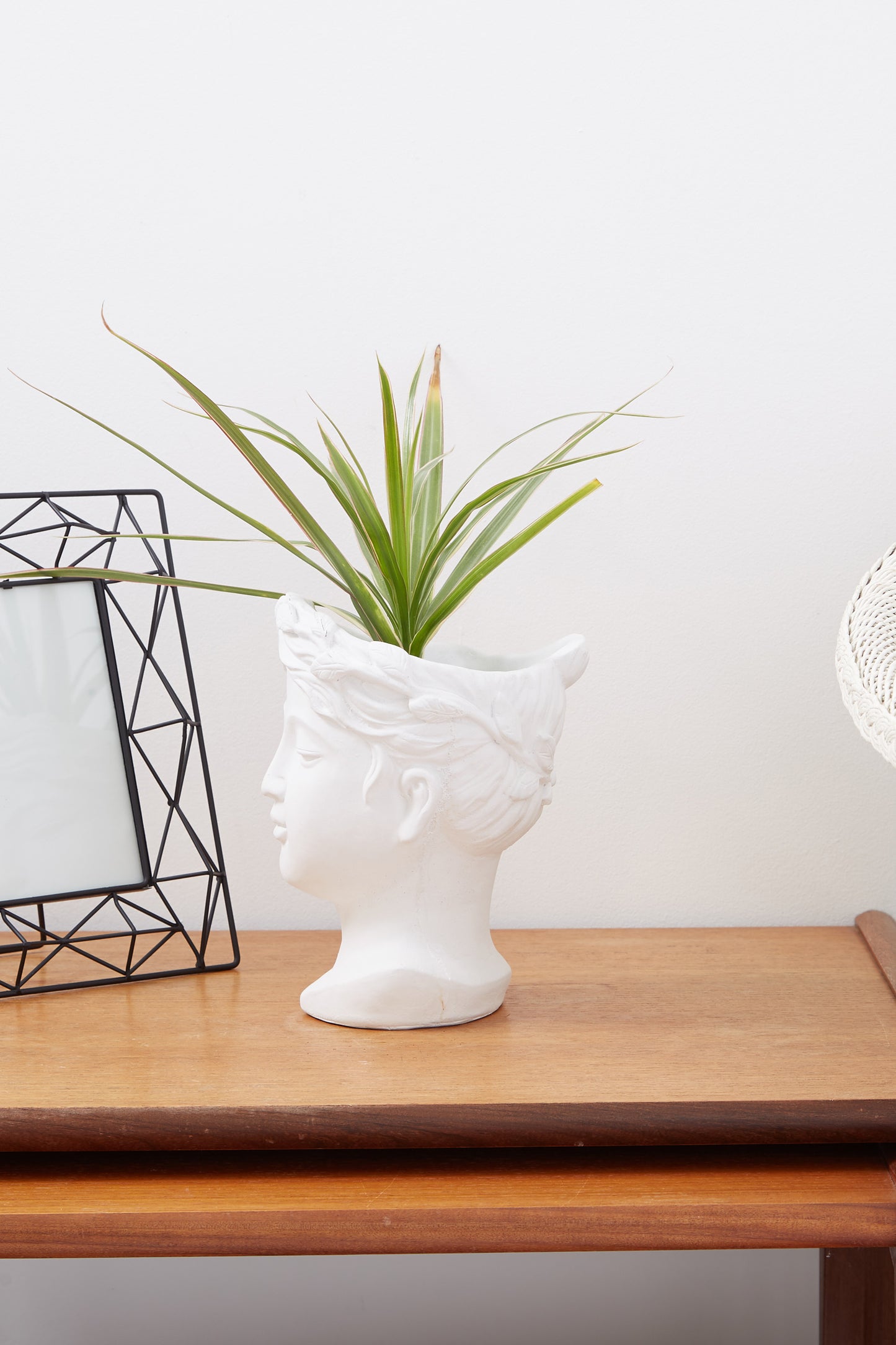 Medium Venus Head Planter In White