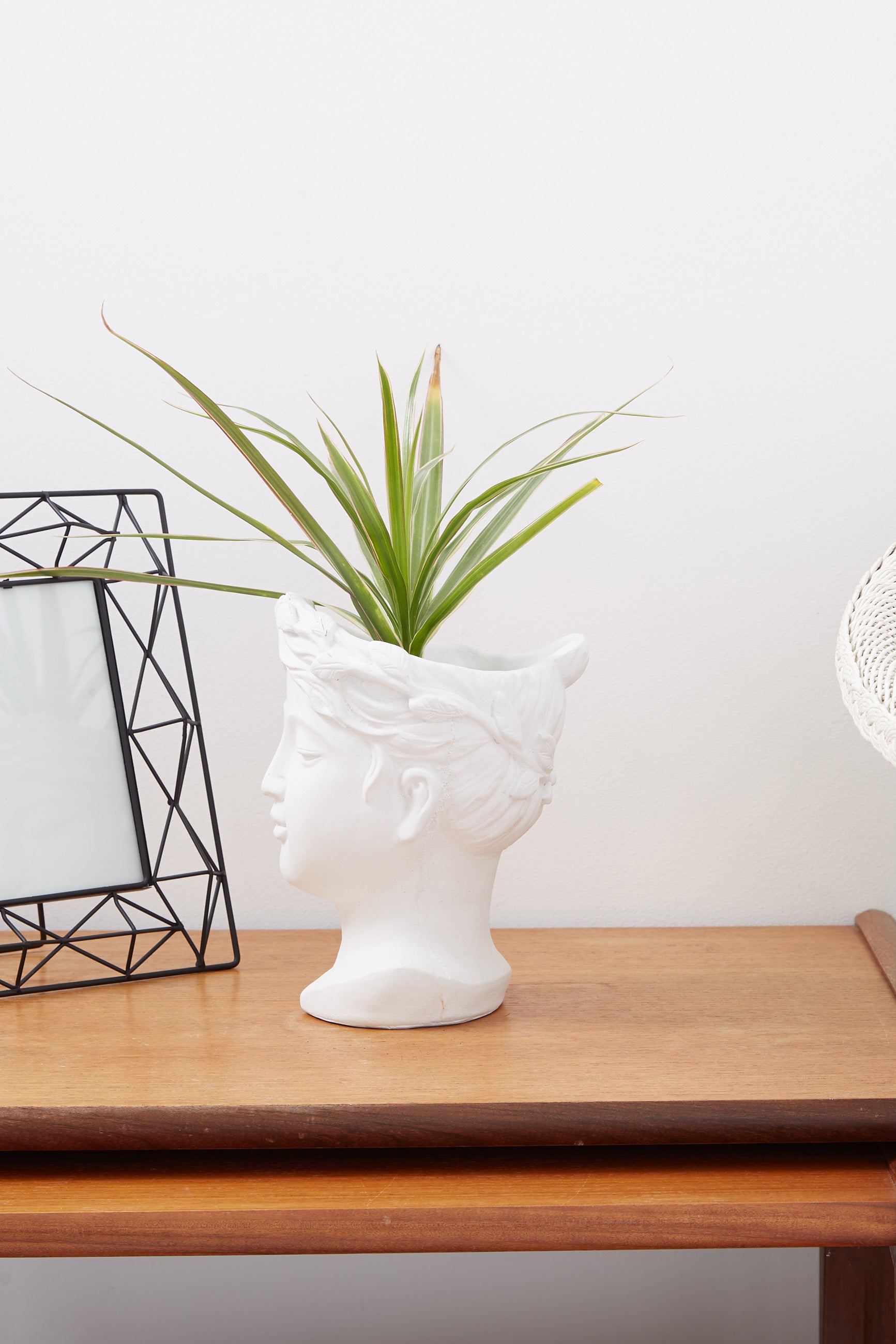 Medium Venus Head Planter In White - Back