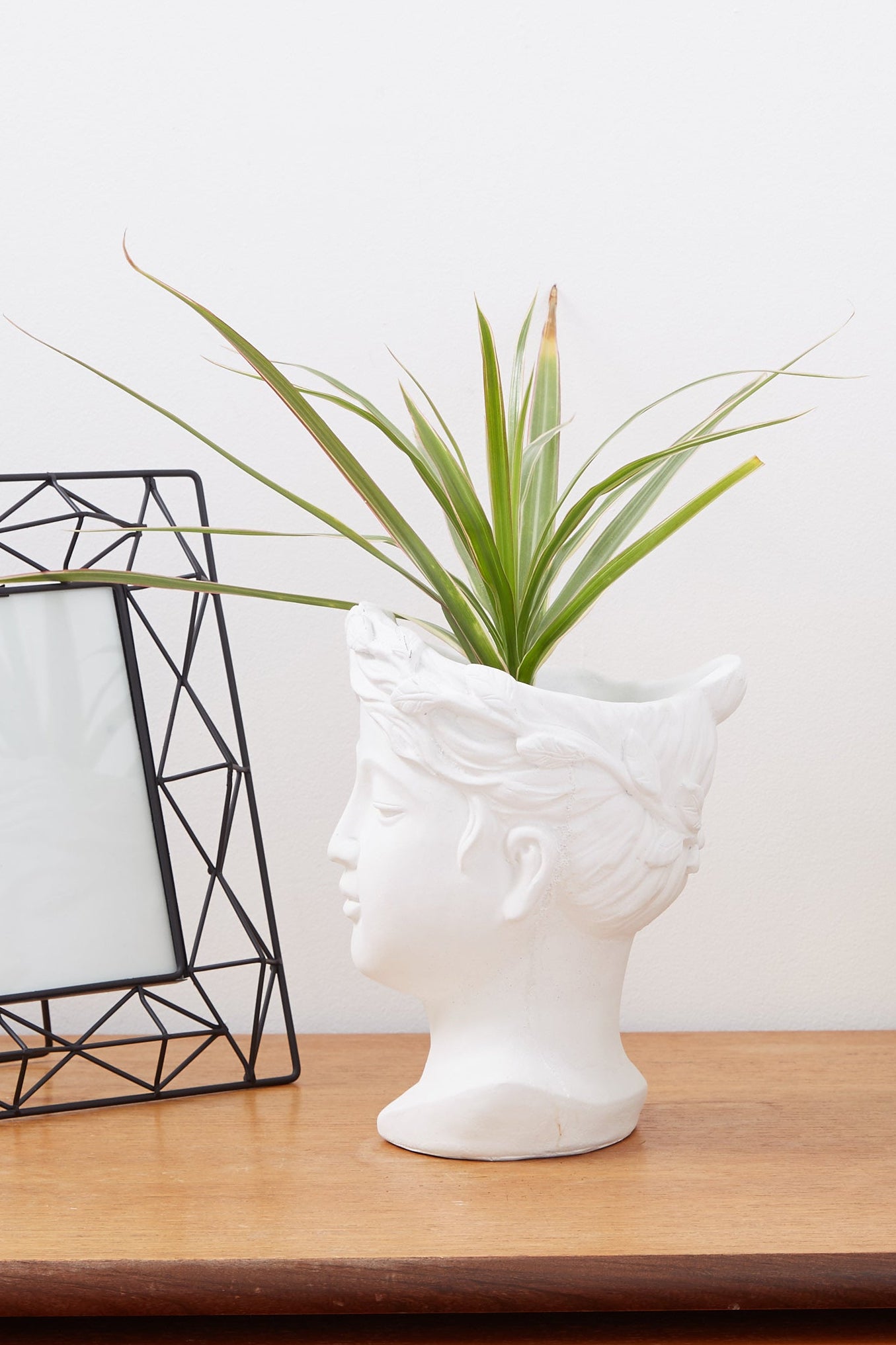 Medium Venus Head Planter In White - Back