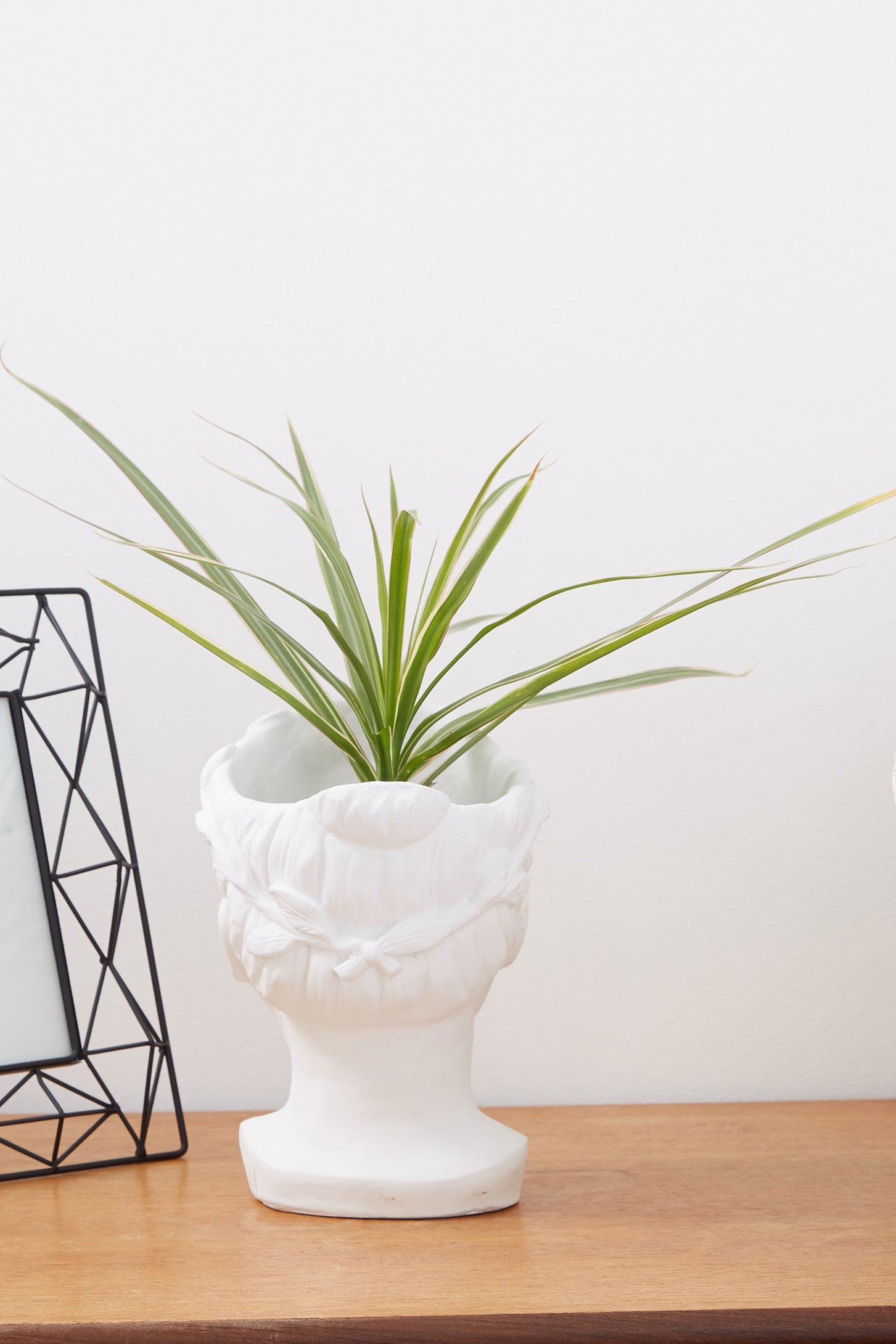 Medium Venus Head Planter In White - Detail 1
