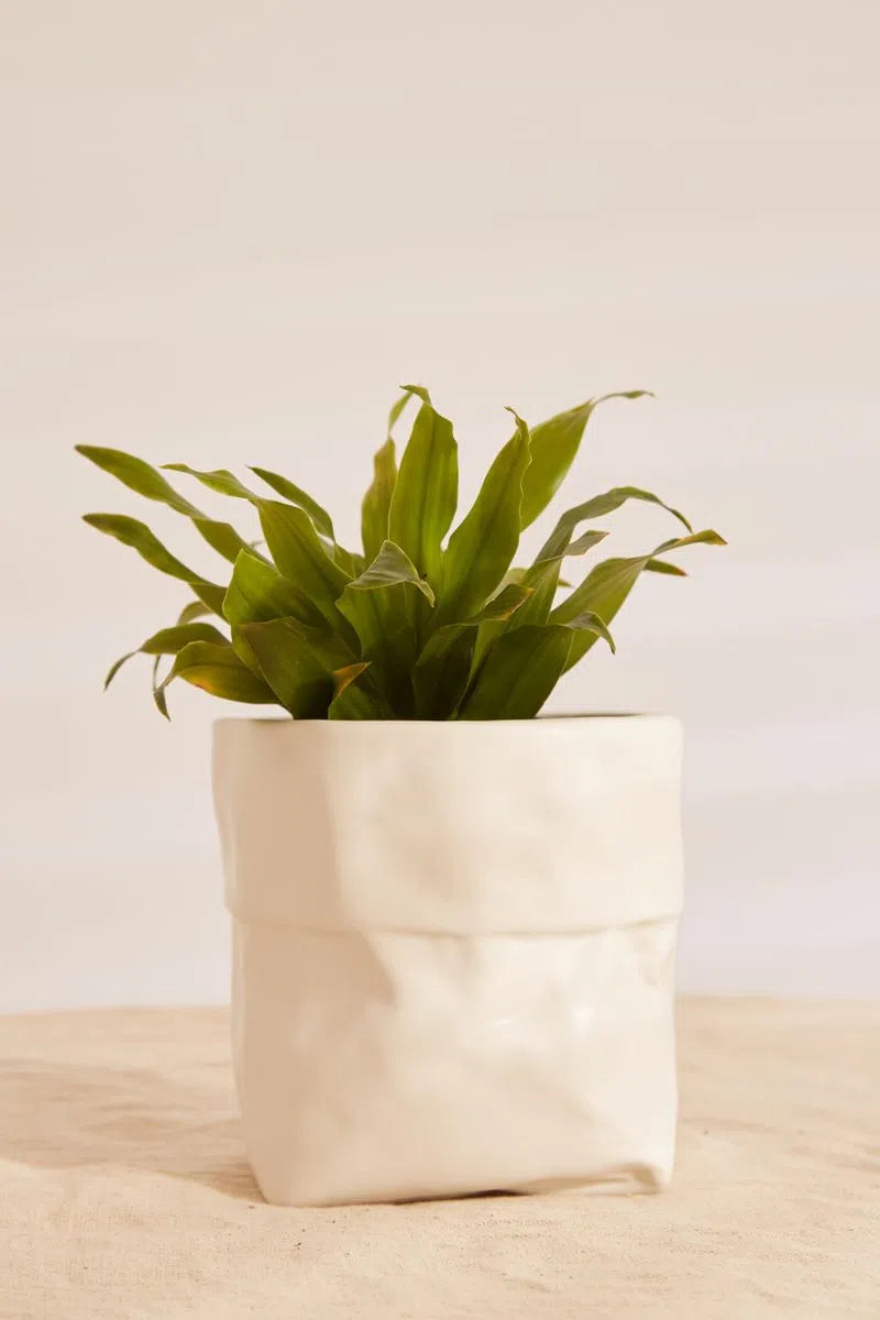 Small White Ceramic Paper Bag Planter - Front